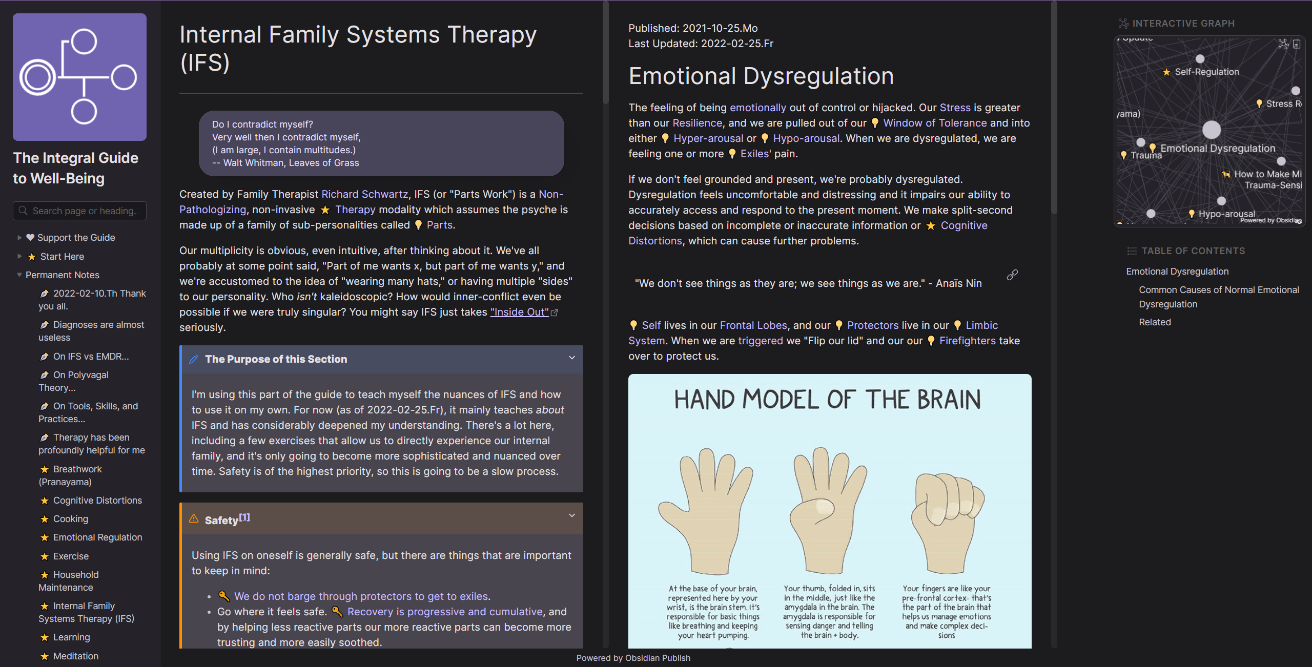 The Integral Guide to Well-Being